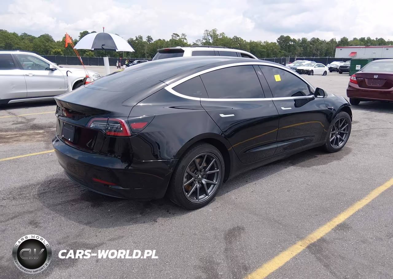 2019 Tesla Model 3 Long Range-Mid Range-Standard Range-Standard Range Plus VIN:5YJ3E1EA1KF410218 - 4