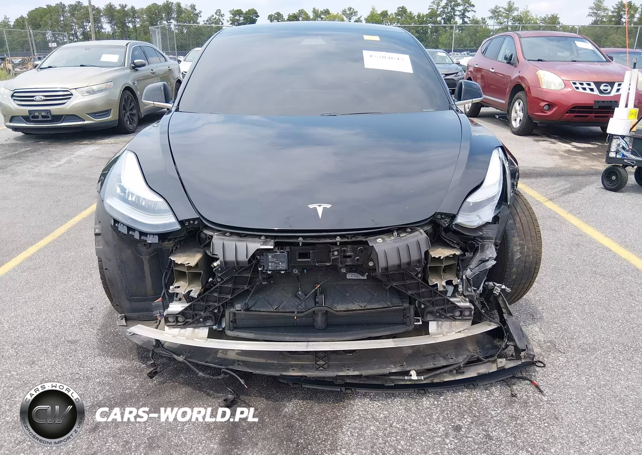 2019 Tesla Model 3 Long Range-Mid Range-Standard Range-Standard Range Plus VIN:5YJ3E1EA1KF410218 - 6