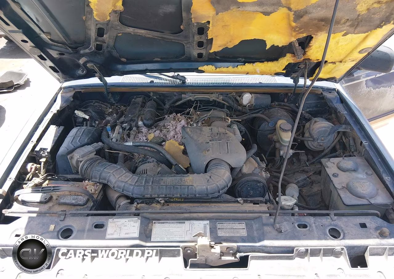 1992 Ford Explorer VIN:1FMDU34X1NUC11766 - 10