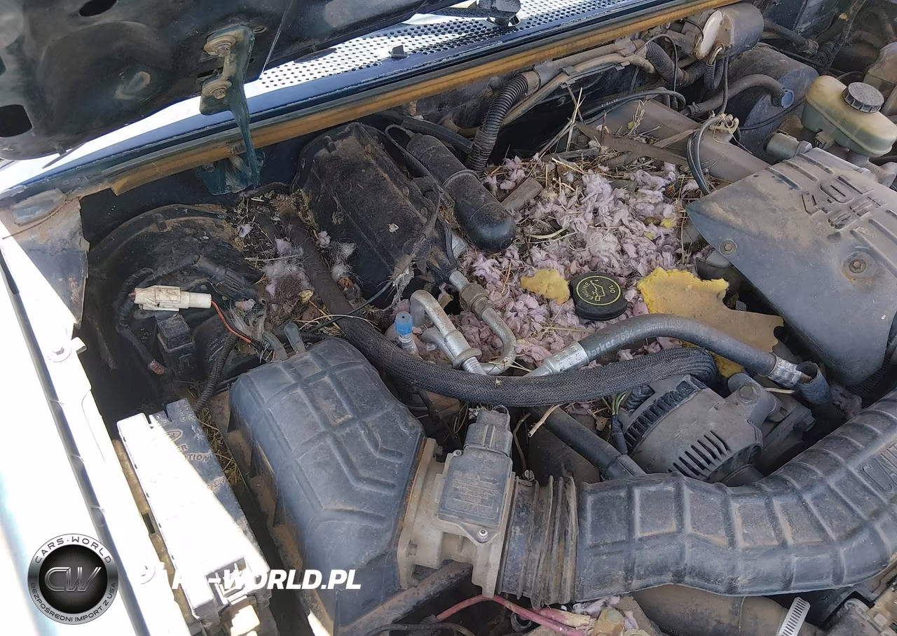 1992 Ford Explorer VIN:1FMDU34X1NUC11766 - 12