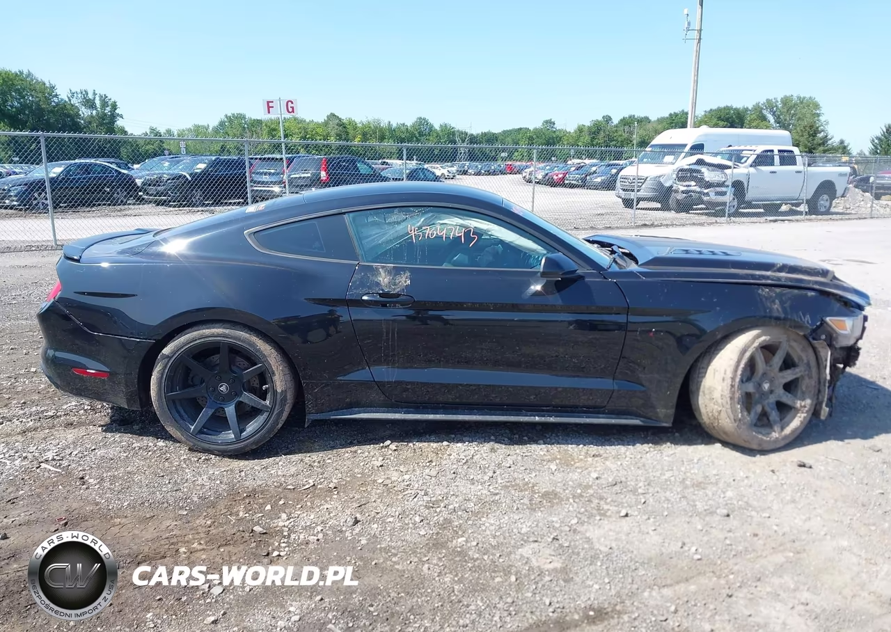 2017 Ford Mustang Gt VIN:1FA6P8CFXH5276727 - 12