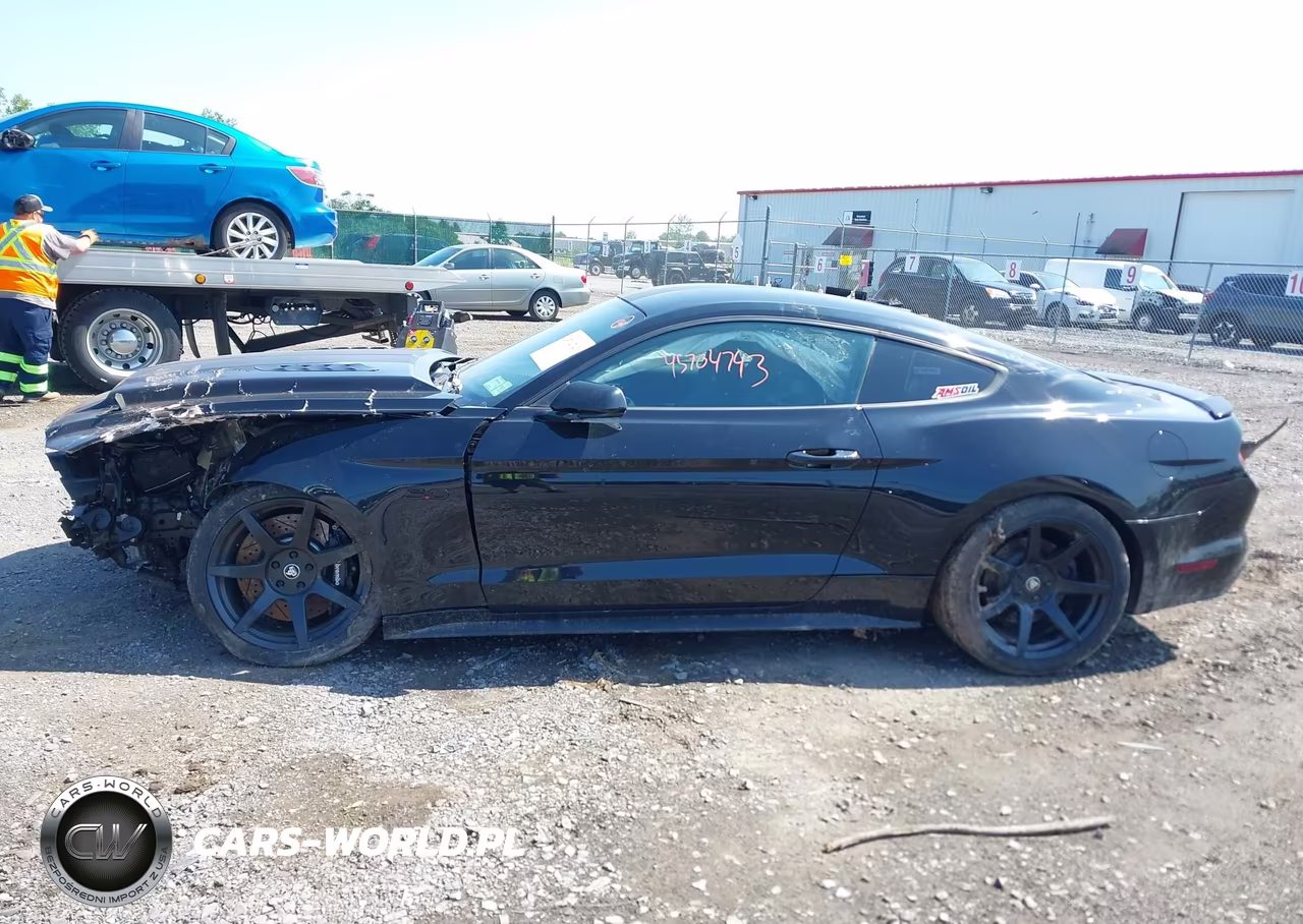2017 Ford Mustang Gt VIN:1FA6P8CFXH5276727 - 13