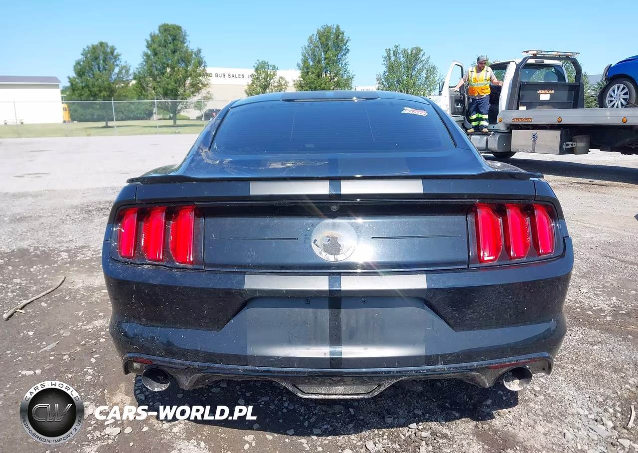 2017 Ford Mustang Gt VIN:1FA6P8CFXH5276727 - 15