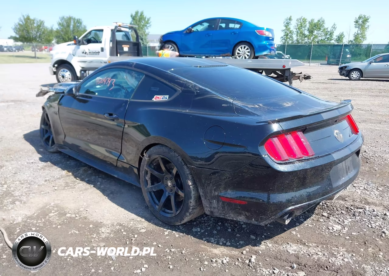 2017 Ford Mustang Gt VIN:1FA6P8CFXH5276727 - 3