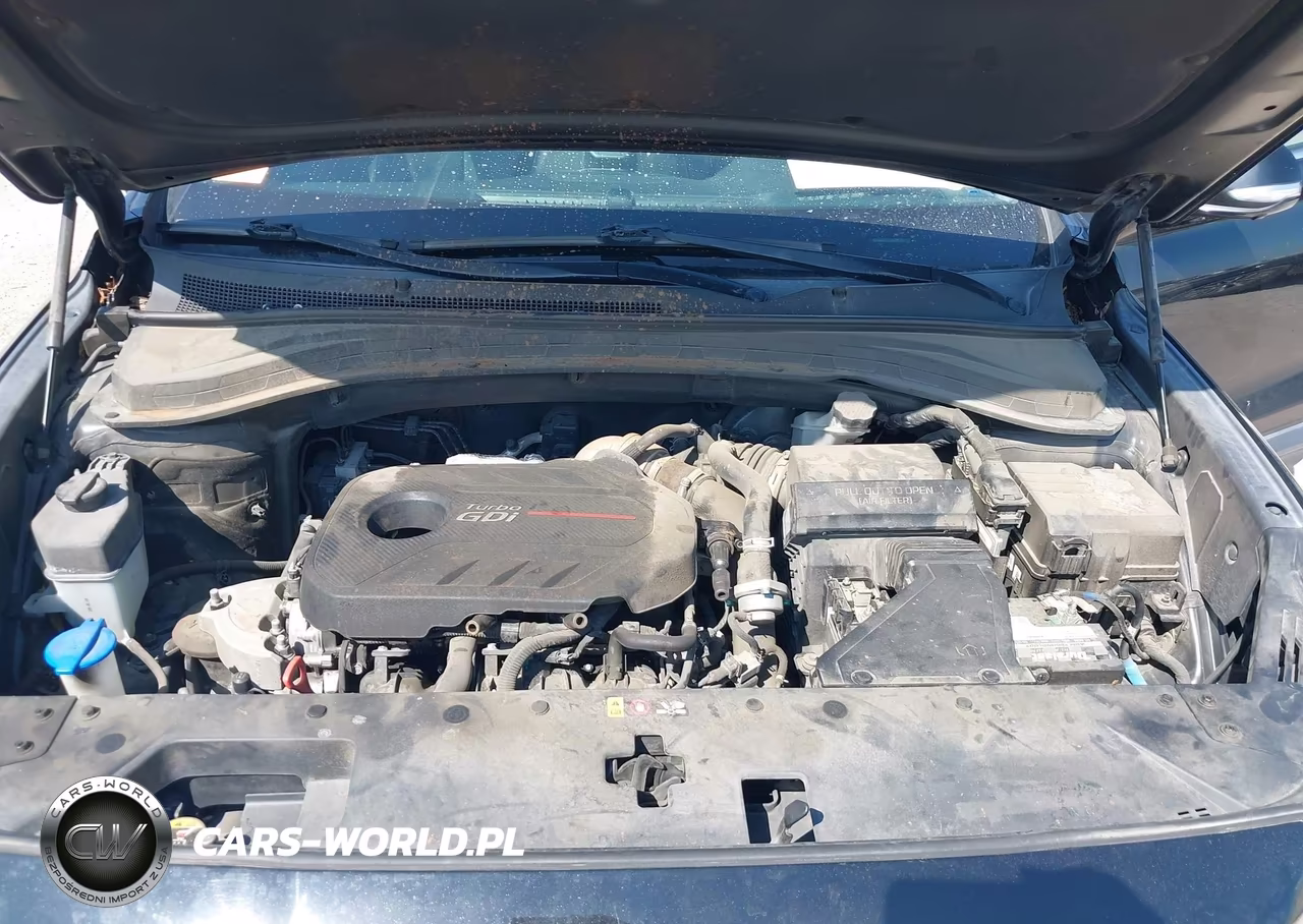 2019 Hyundai Santa Fe Ultimate 2.0T VIN:5NMS5CAA7KH029517 - 10