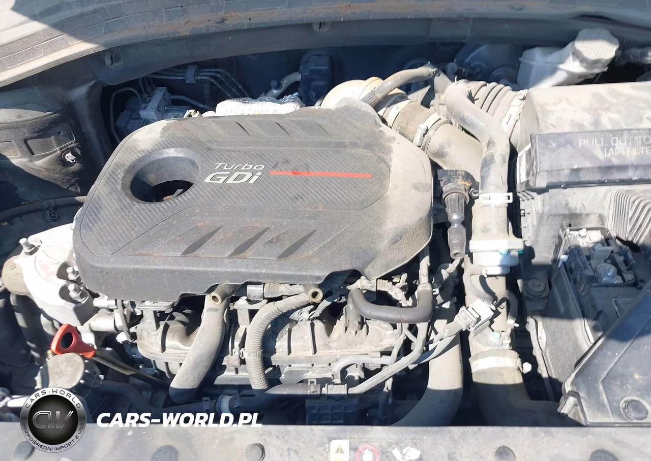 2019 Hyundai Santa Fe Ultimate 2.0T VIN:5NMS5CAA7KH029517 - 6
