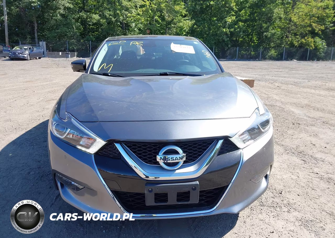 2016 Nissan Maxima 3.5 Platinum VIN:1N4AA6AP1GC407713 - 13