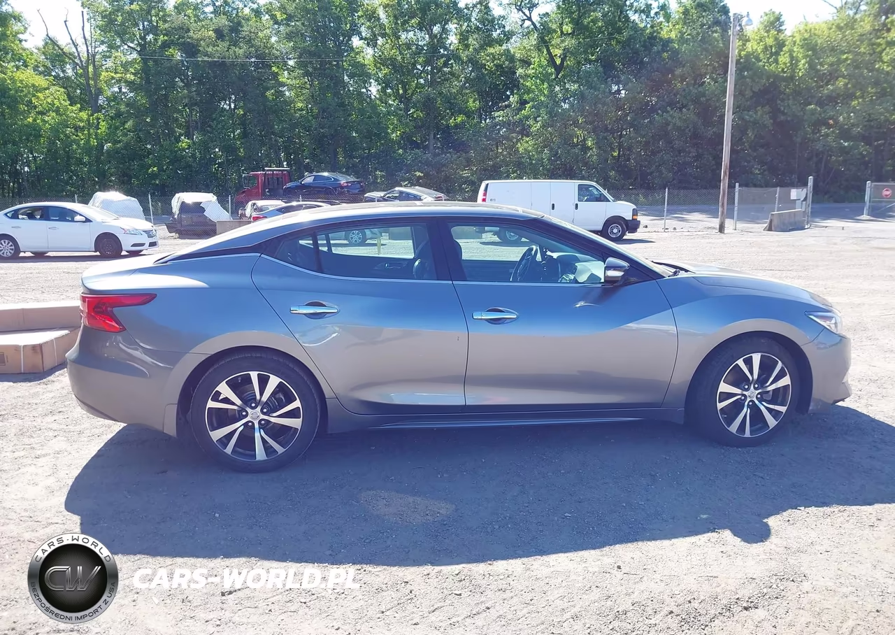 2016 Nissan Maxima 3.5 Platinum VIN:1N4AA6AP1GC407713 - 14