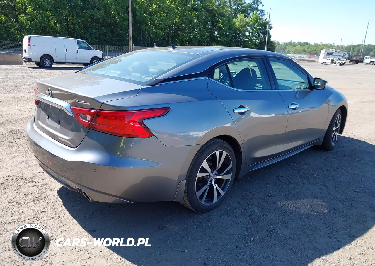 2016 Nissan Maxima 3.5 Platinum VIN:1N4AA6AP1GC407713 - 4