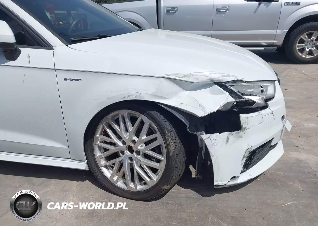 2018 Audi A3 E-Tron 1.4T Premium-1.4T Tech Premium VIN:WAUUPBFF6JA063732 - 12