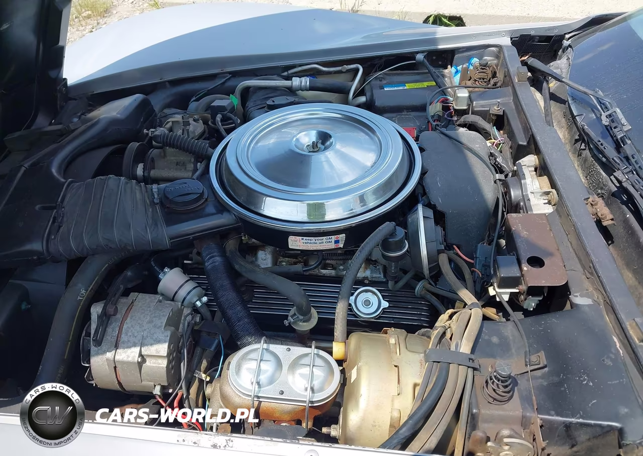 1981 Chevrolet Corvette VIN:1G1AY8768BS410261 - 10