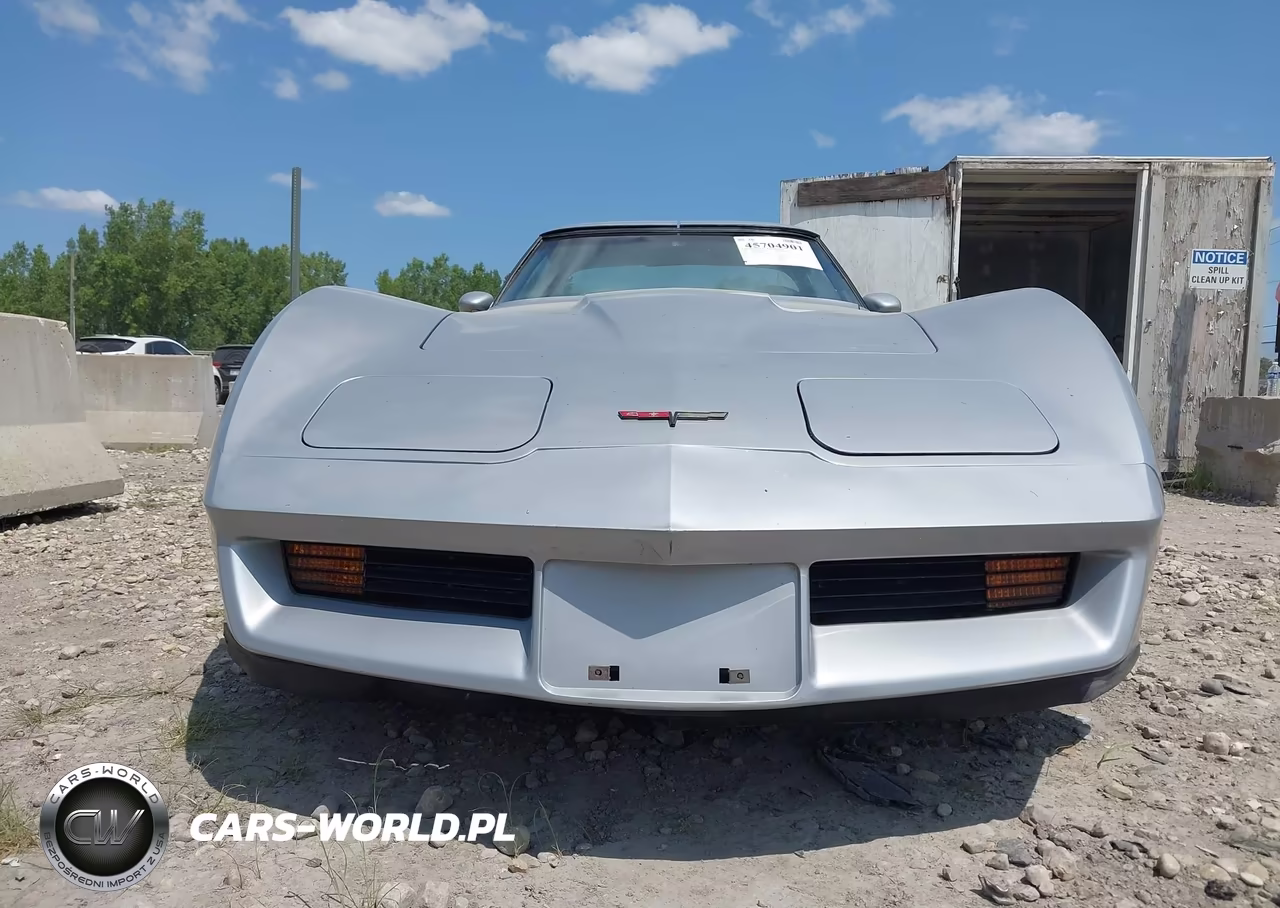 1981 Chevrolet Corvette VIN:1G1AY8768BS410261 - 12