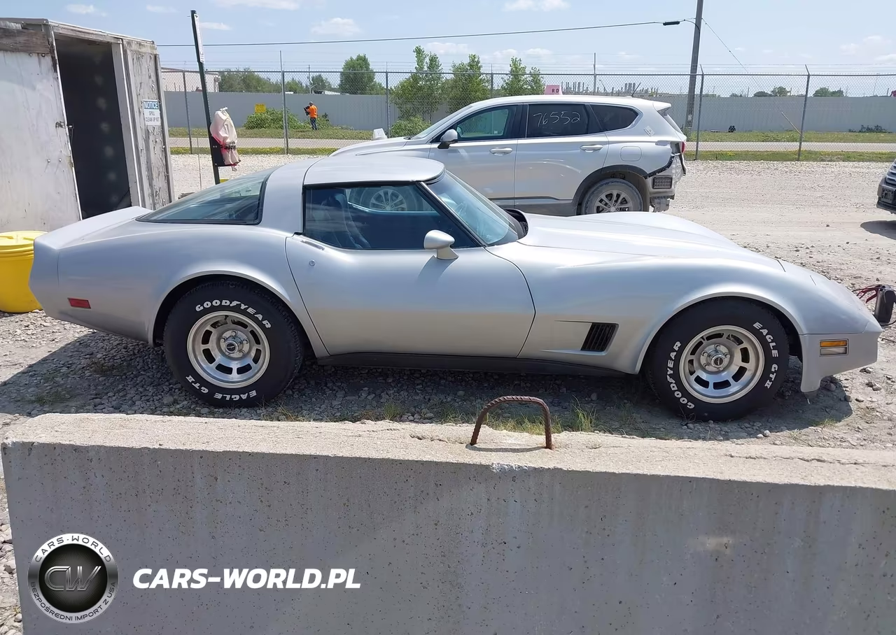 1981 Chevrolet Corvette VIN:1G1AY8768BS410261 - 13