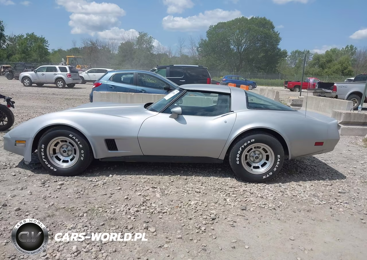 1981 Chevrolet Corvette VIN:1G1AY8768BS410261 - 14
