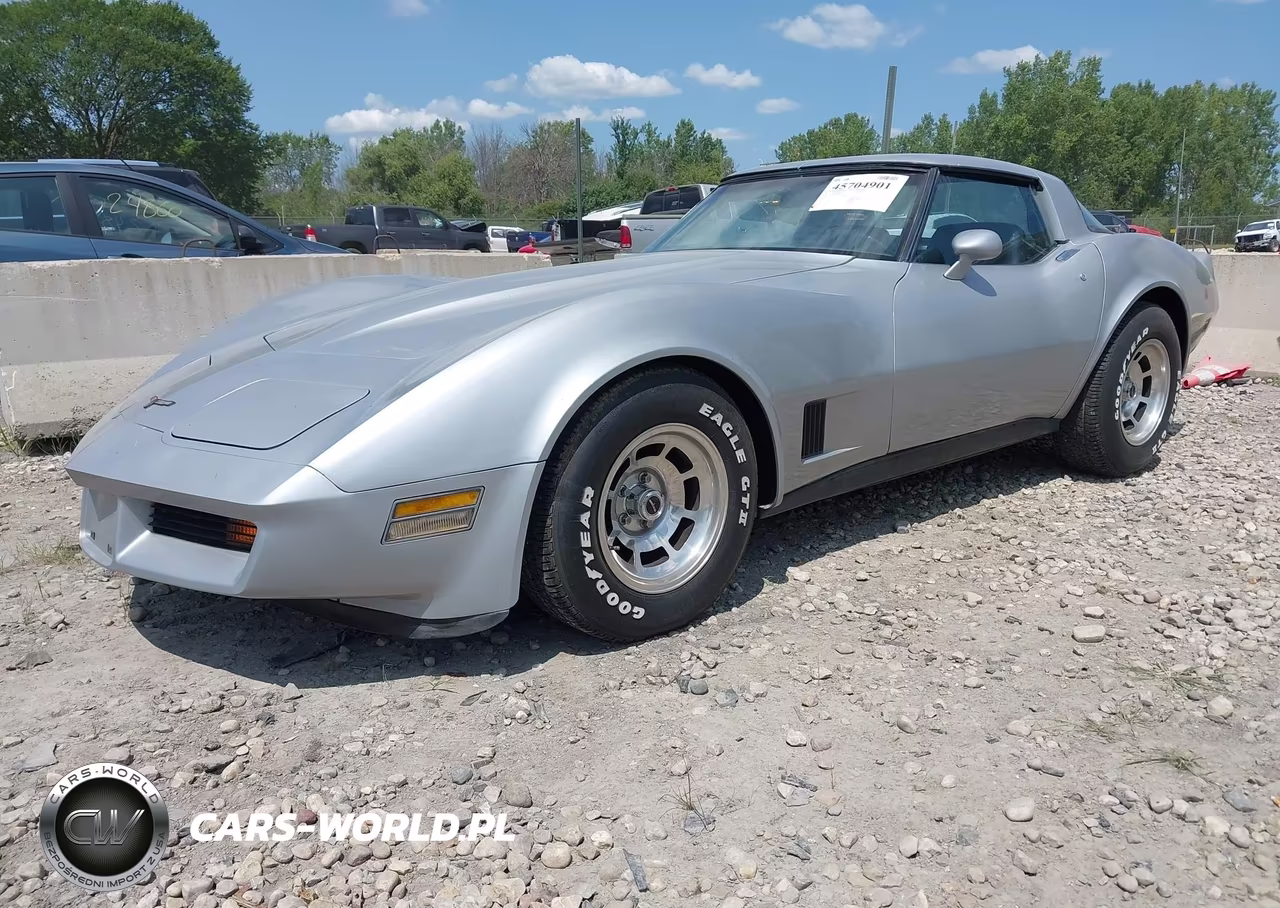 1981 Chevrolet Corvette VIN:1G1AY8768BS410261 - 2