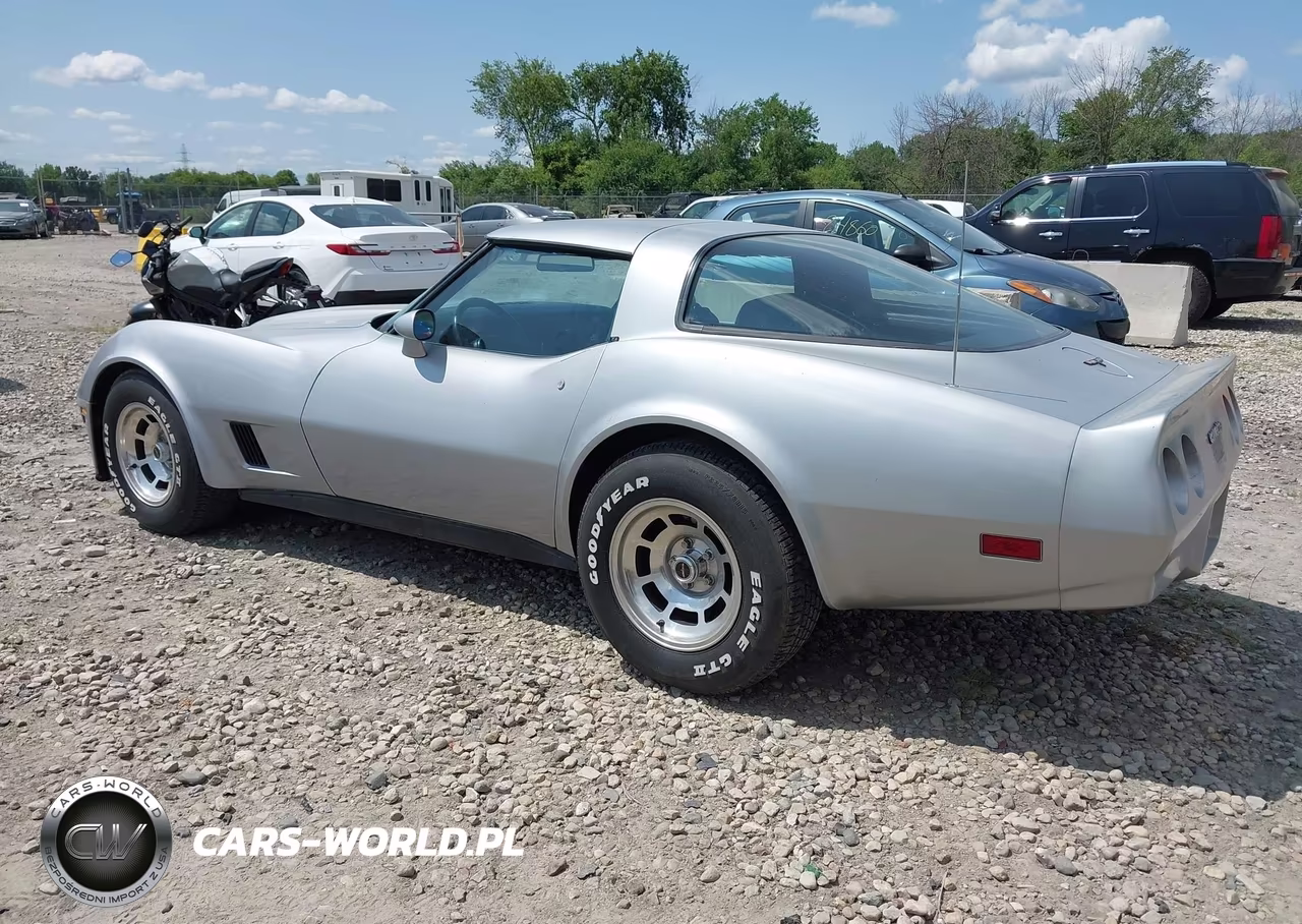 1981 Chevrolet Corvette VIN:1G1AY8768BS410261 - 3
