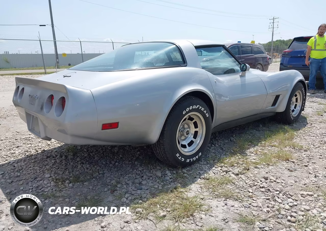 1981 Chevrolet Corvette VIN:1G1AY8768BS410261 - 4
