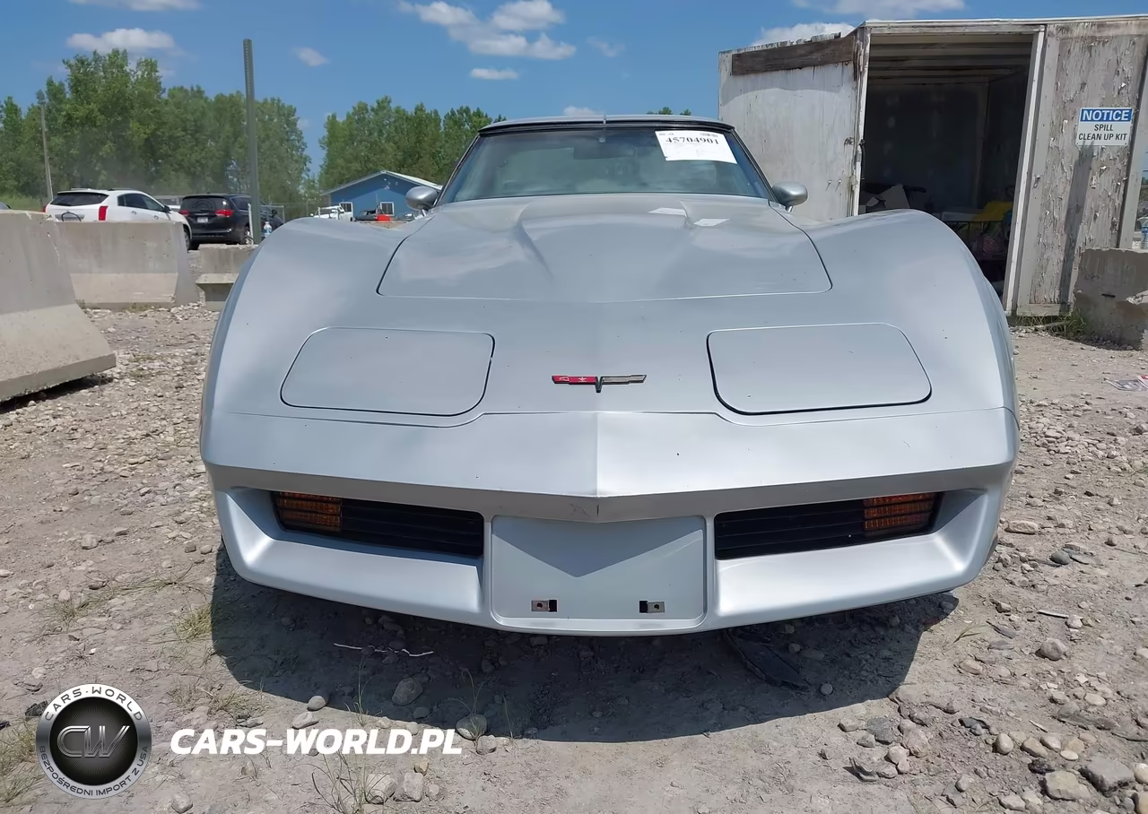 1981 Chevrolet Corvette VIN:1G1AY8768BS410261 - 6