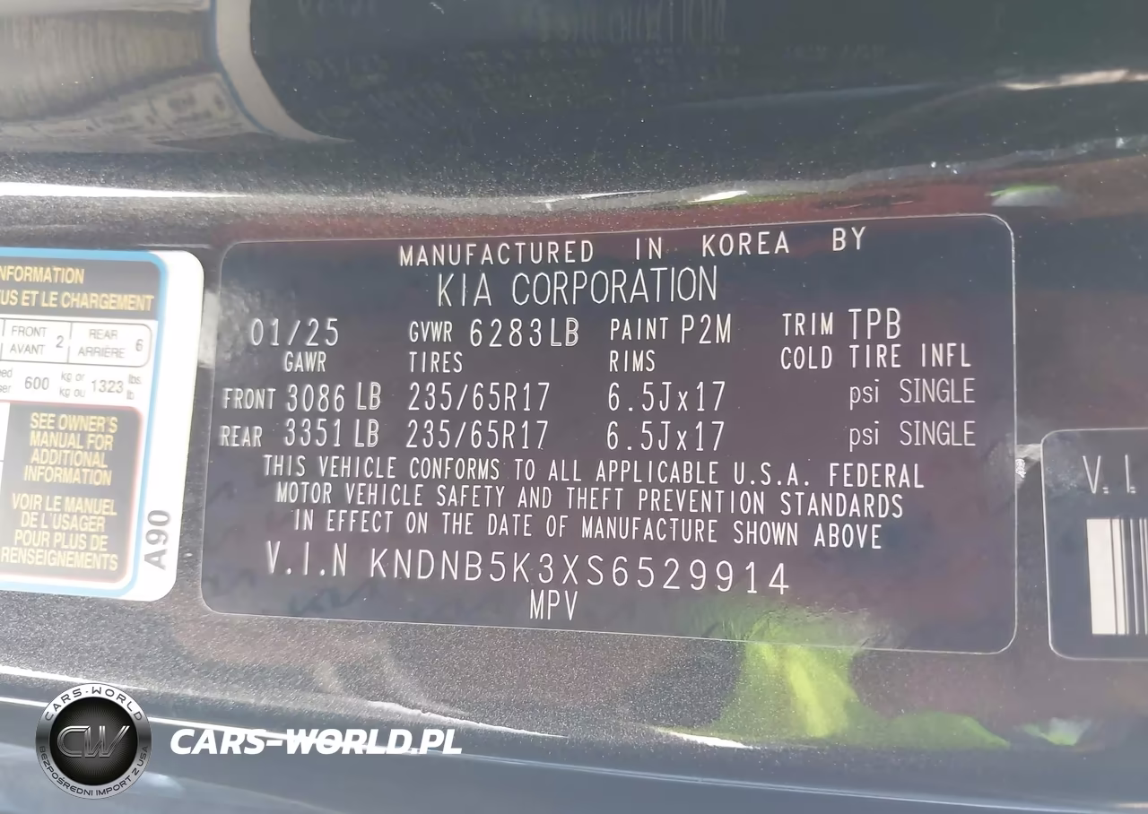 2025 Kia Carnival Mpv Lxs VIN:KNDNB5K3XS6529914 - 9
