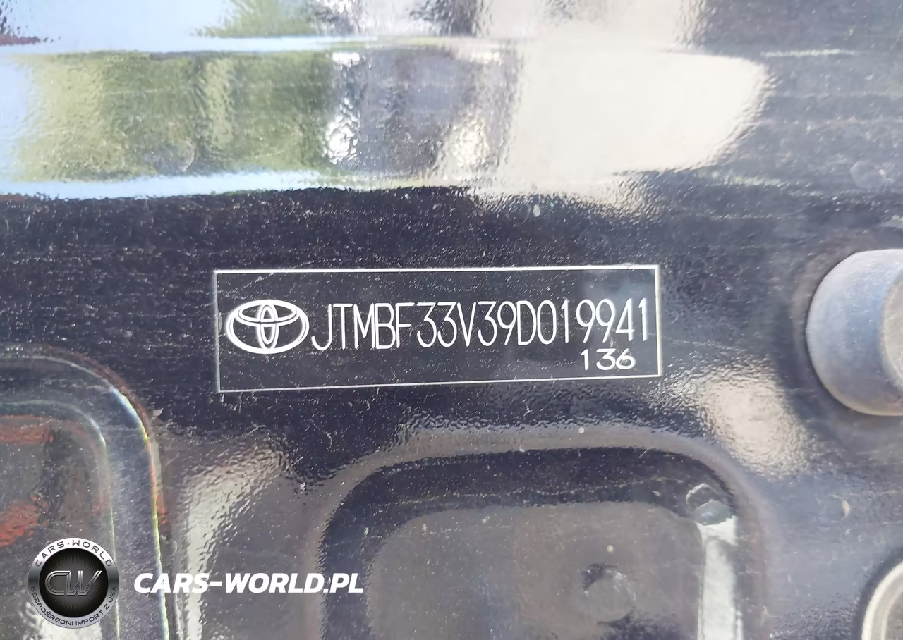 2009 Toyota Rav4 VIN:JTMBF33V39D019941 - 9