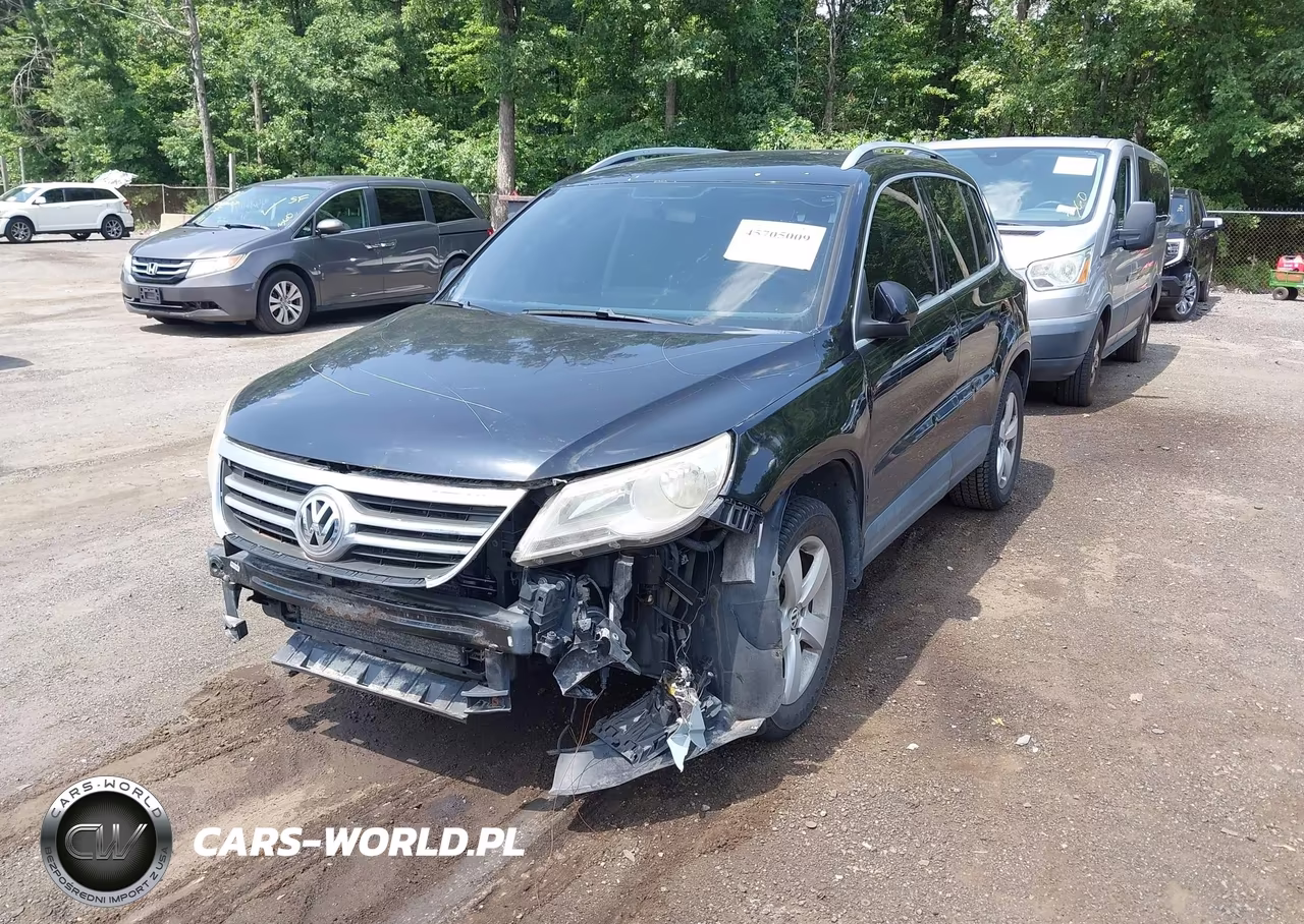 2010 Volkswagen Tiguan Wolfsburg Edition VIN:WVGBV7AX9AW515023 - 2