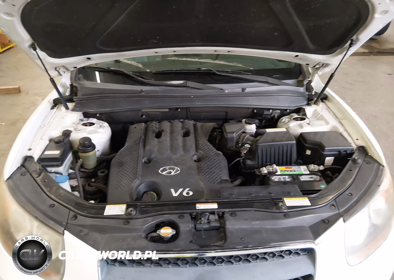 2007 Hyundai Santa Fe Gls VIN:5NMSG13D67H116581 - 10