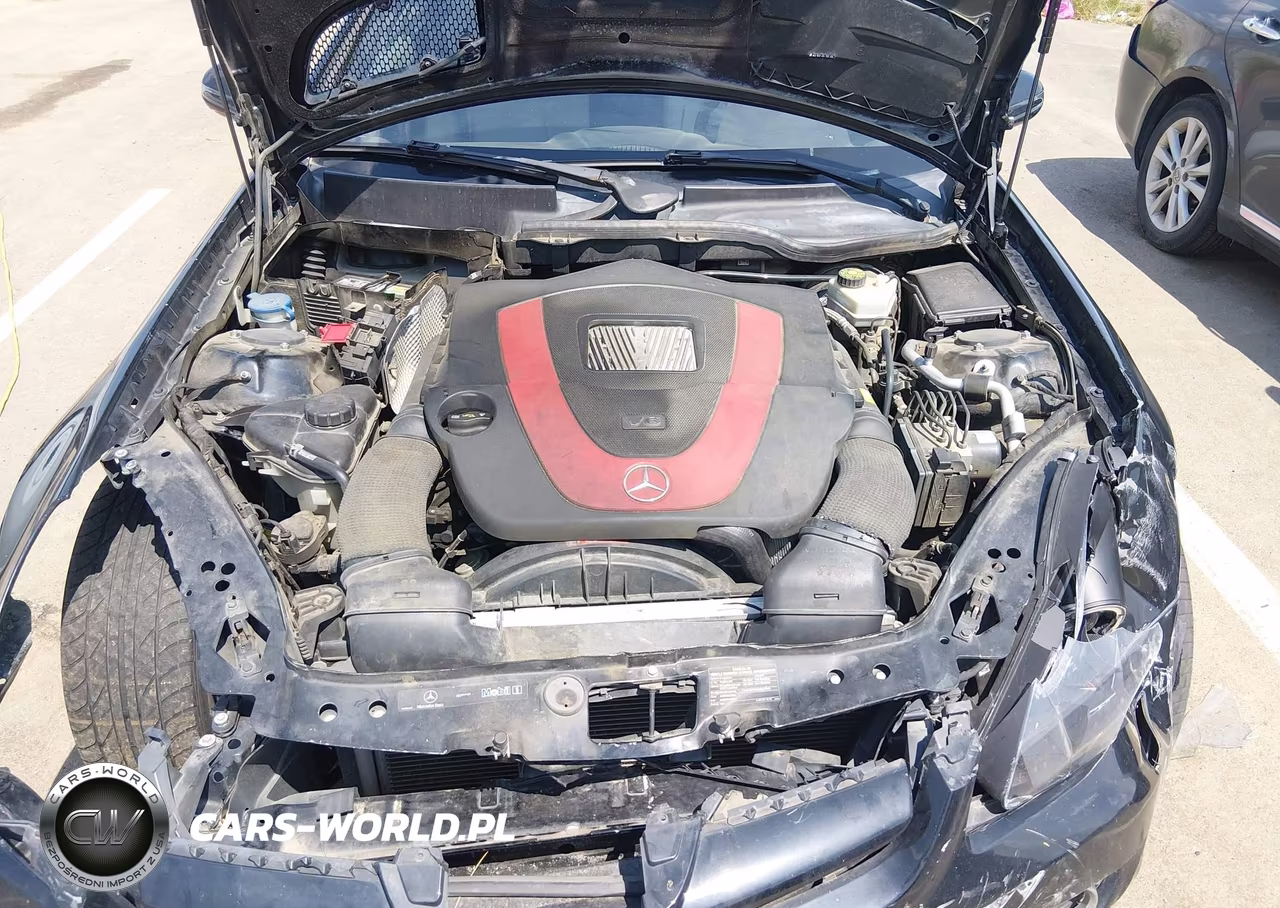 2010 Mercedes-Benz Slk 350 VIN:WDBWK5JA9AF227189 - 10