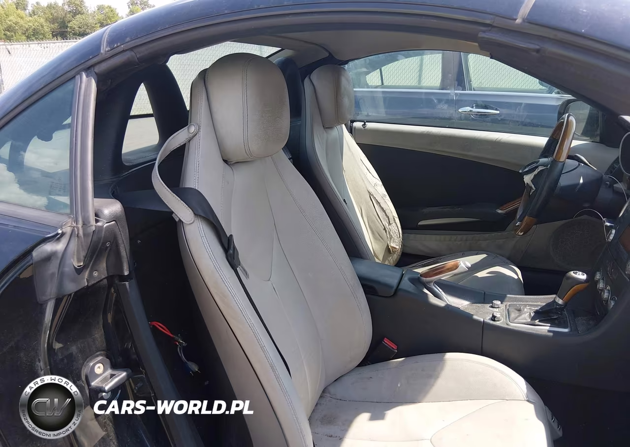 2010 Mercedes-Benz Slk 350 VIN:WDBWK5JA9AF227189 - 8