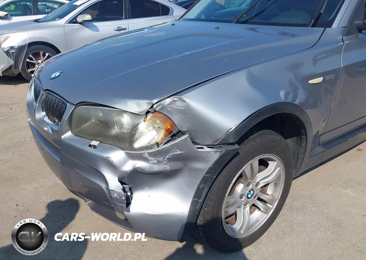 2006 BMW X3 3.0I VIN:WBXPA93406WG80394 - 17