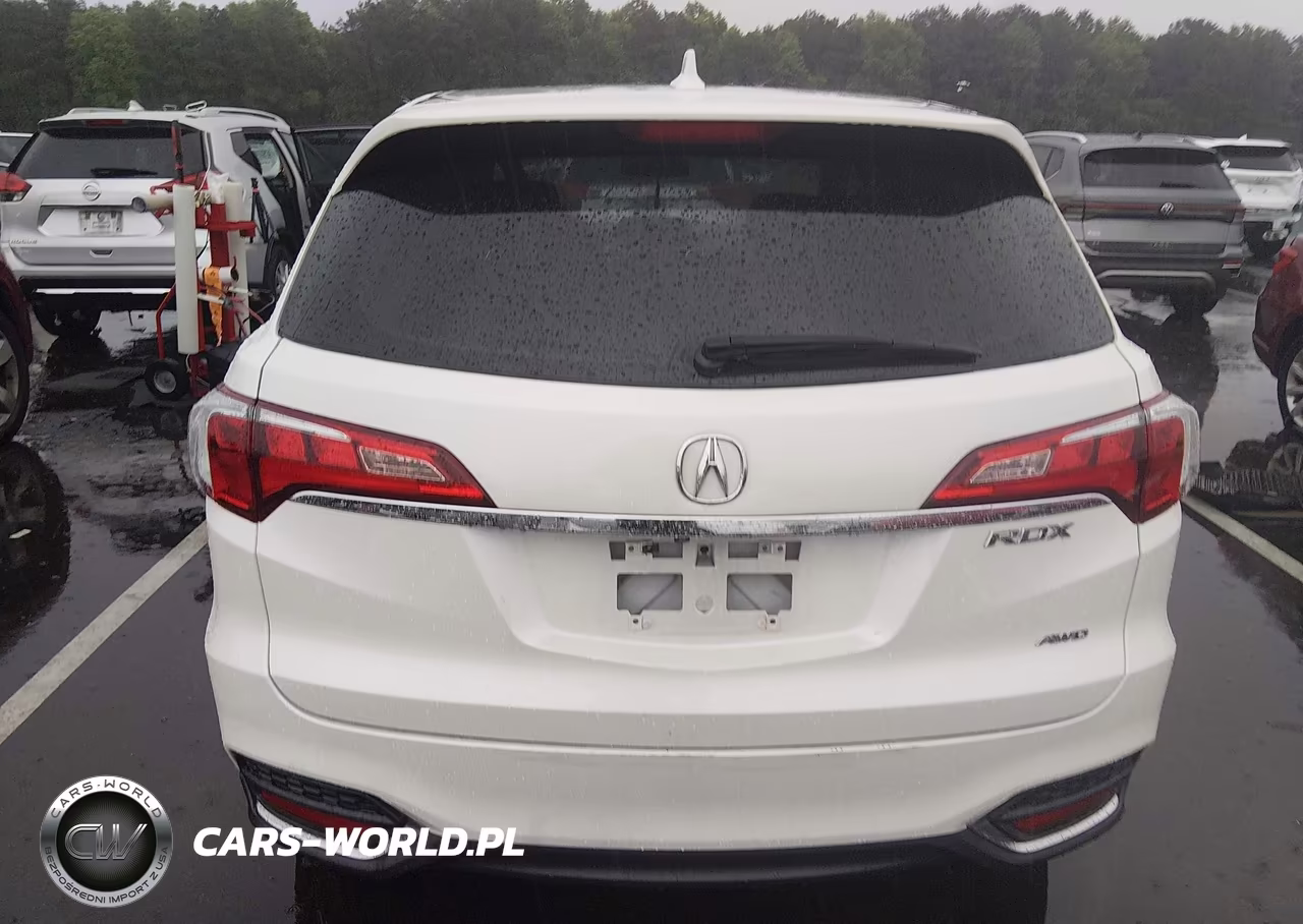 2017 Acura Rdx Technology Acurawatch Plus Packages-W-Technology Package VIN:5J8TB4H51HL005282 - 17