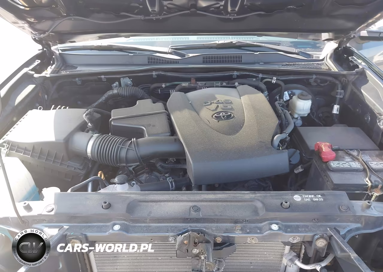 2019 Toyota Tacoma Limited VIN:3TMGZ5AN5KM256419 - 10
