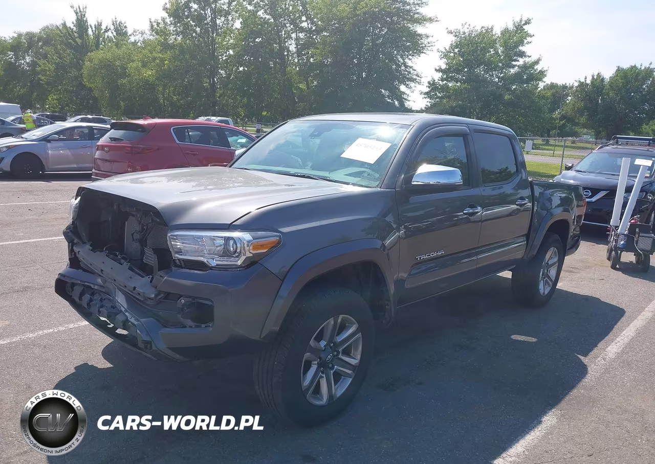 2019 Toyota Tacoma Limited VIN:3TMGZ5AN5KM256419 - 2