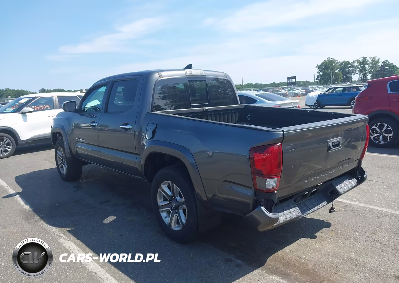 2019 Toyota Tacoma Limited VIN:3TMGZ5AN5KM256419 - 3