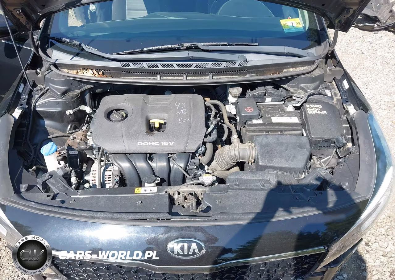 2017 Kia Forte S VIN:3KPFL4A73HE101296 - 10