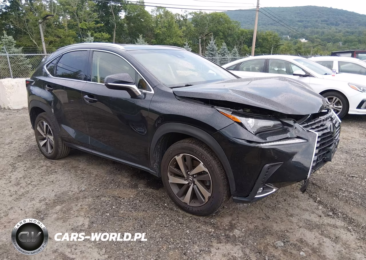 2019 Lexus Nx 300 – zdjęcie 1 z 16