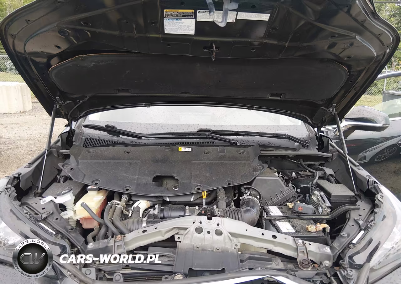 2019 Lexus Nx 300 VIN:JTJBARBZ5K2196401 - 10
