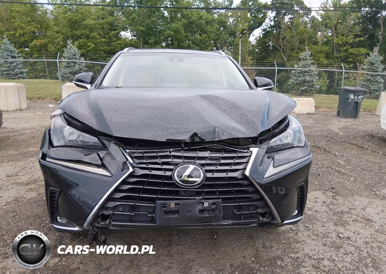 2019 Lexus Nx 300 VIN:JTJBARBZ5K2196401 - 12