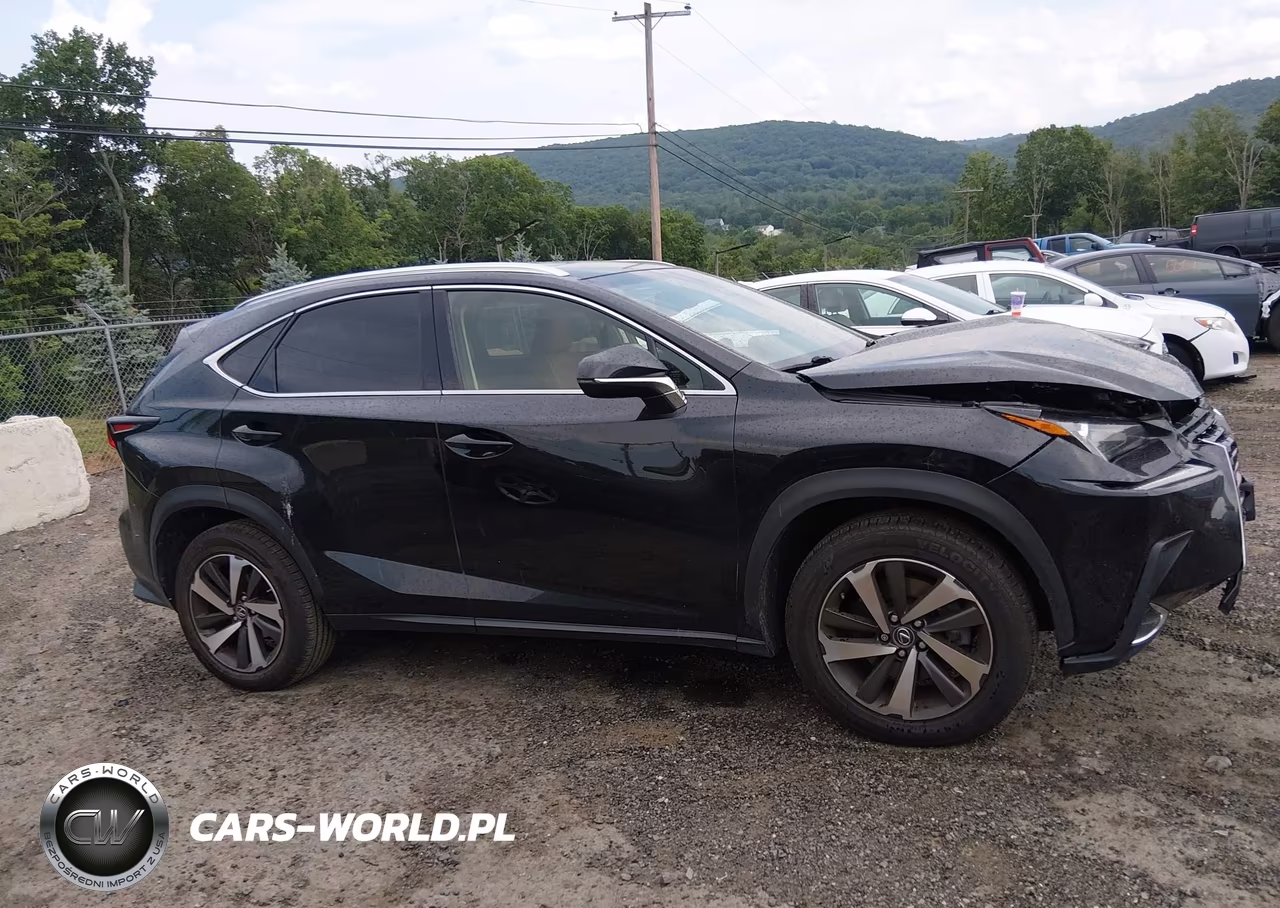 2019 Lexus Nx 300 VIN:JTJBARBZ5K2196401 - 13