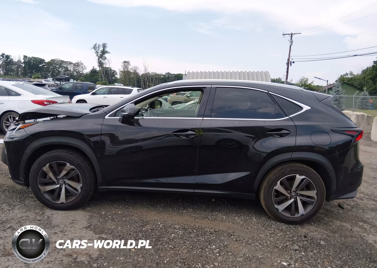 2019 Lexus Nx 300 VIN:JTJBARBZ5K2196401 - 14