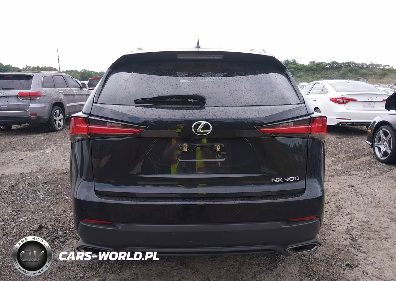 2019 Lexus Nx 300 VIN:JTJBARBZ5K2196401 - 16