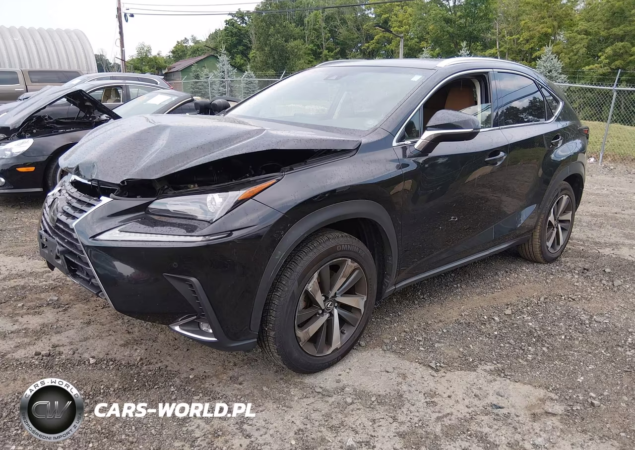 2019 Lexus Nx 300 VIN:JTJBARBZ5K2196401 - 2