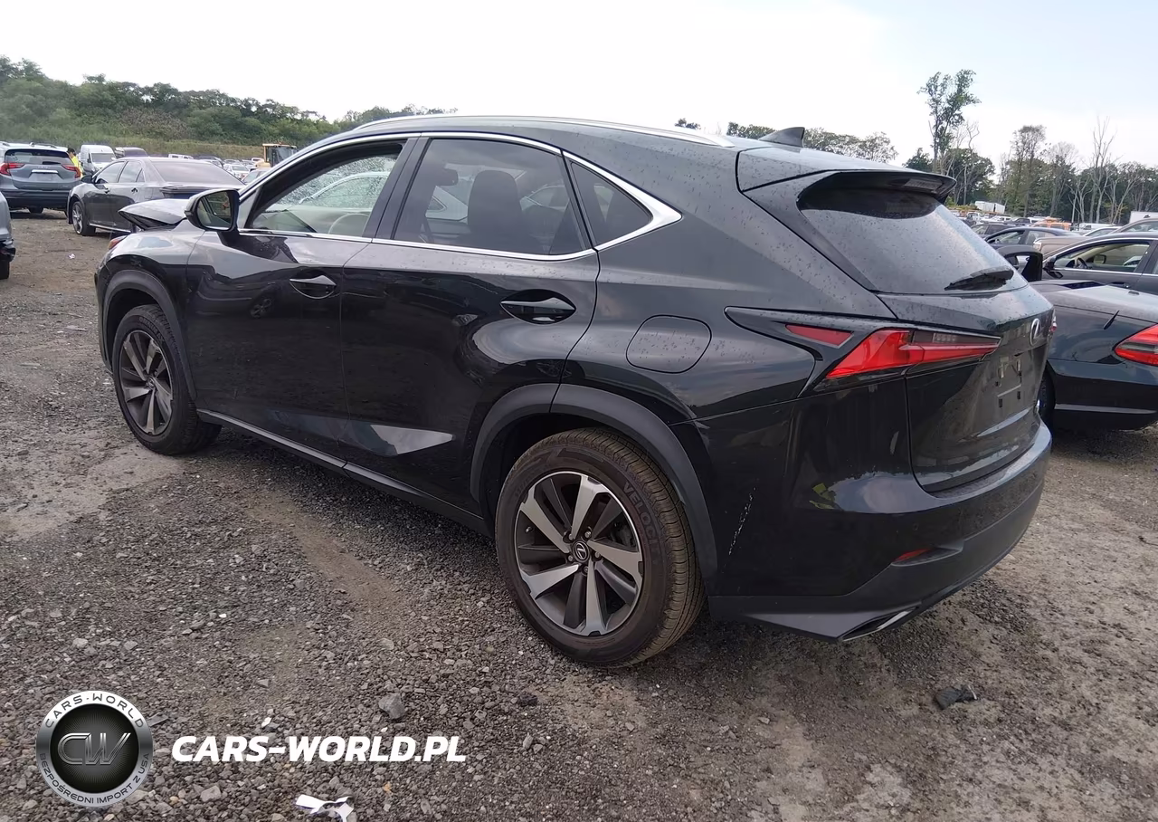 2019 Lexus Nx 300 VIN:JTJBARBZ5K2196401 - 3