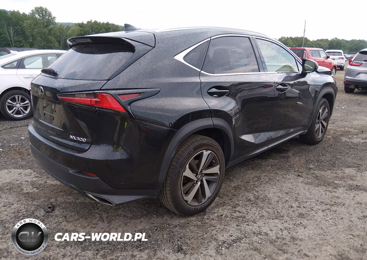 2019 Lexus Nx 300 VIN:JTJBARBZ5K2196401 - 4