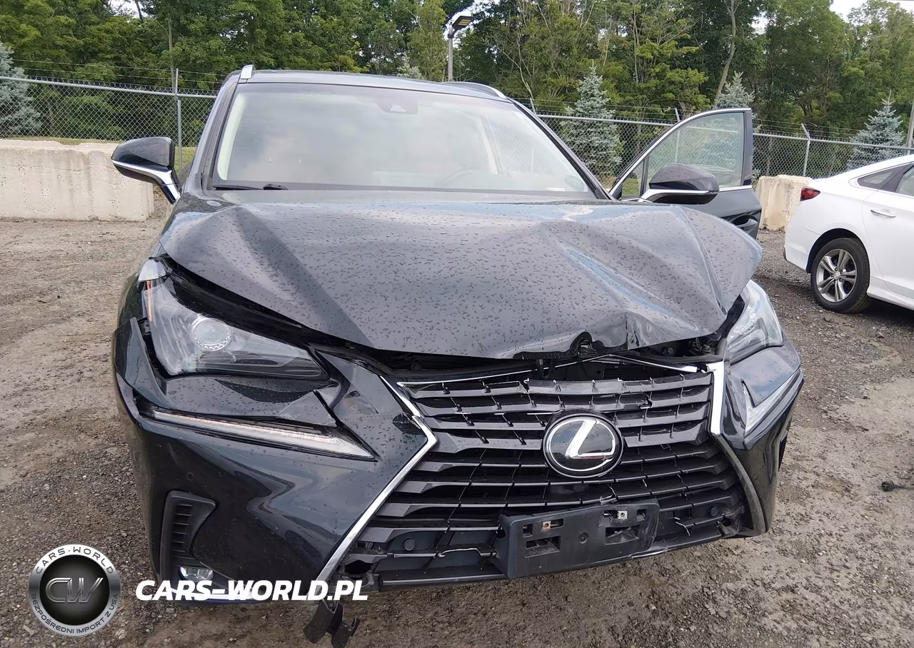 2019 Lexus Nx 300 VIN:JTJBARBZ5K2196401 - 6