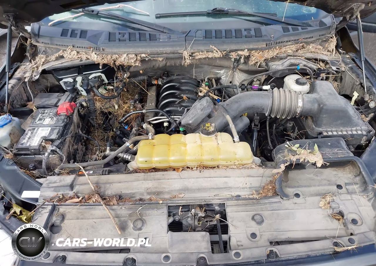 2020 Ford F-150 Xl VIN:1FTEW1E54LKD16802 - 10