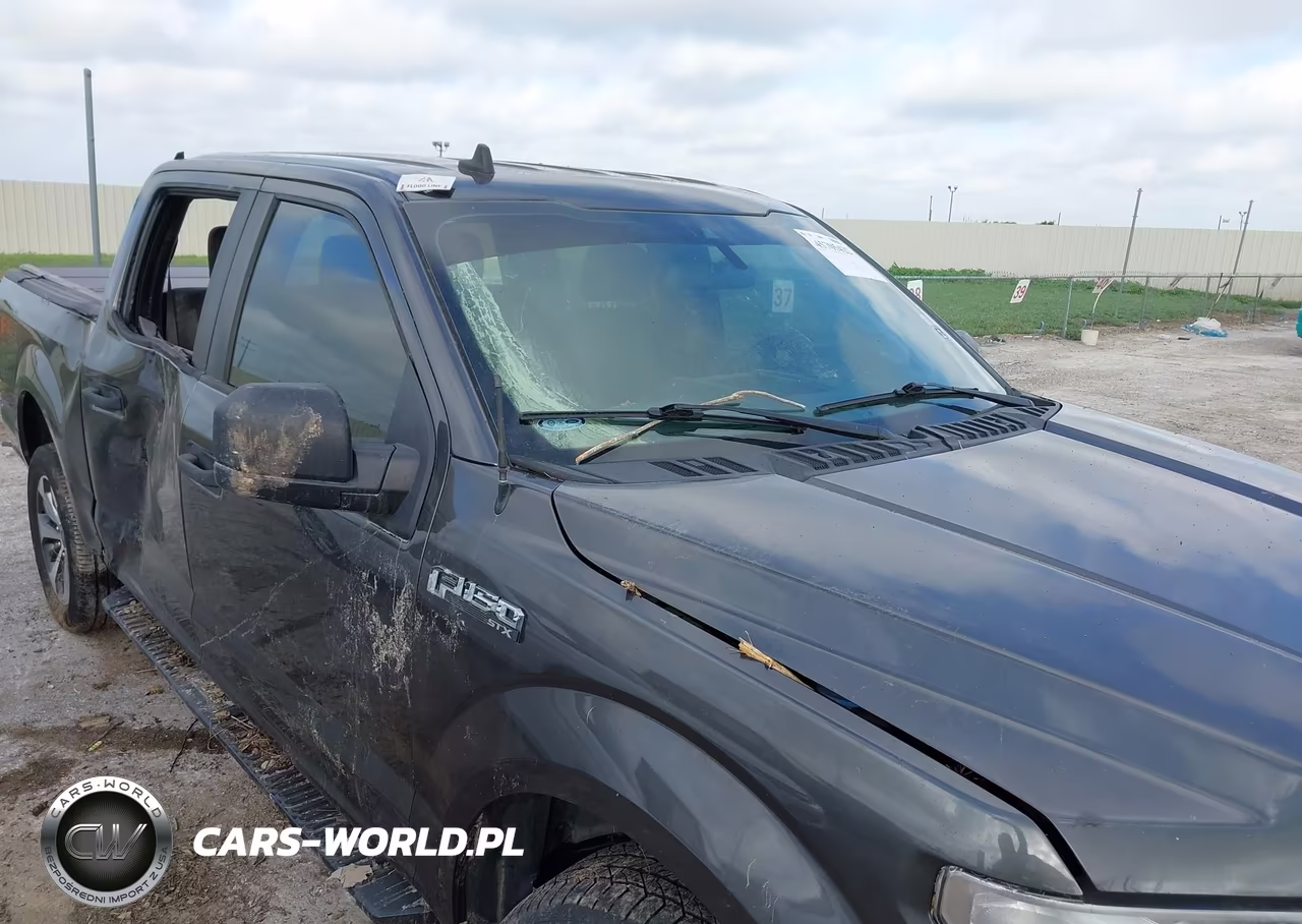 2020 Ford F-150 Xl VIN:1FTEW1E54LKD16802 - 6