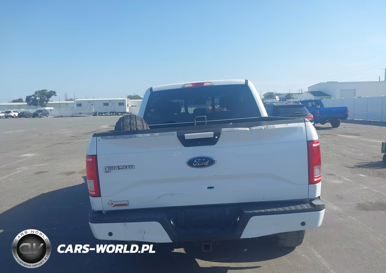 2017 Ford F-150 Xlt VIN:1FTEW1EG5HKD30765 - 16