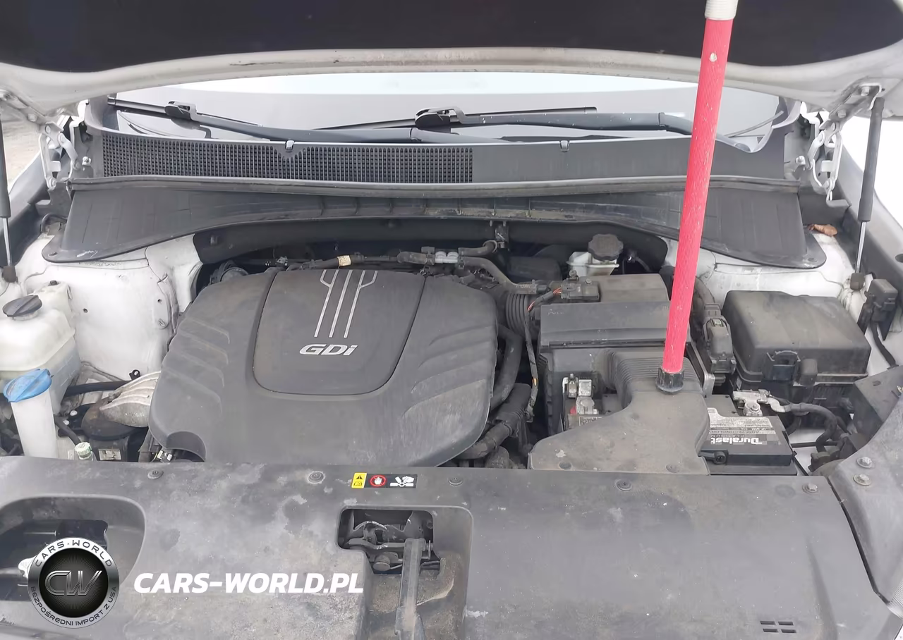 2016 Kia Sorento 3.3L Sx VIN:5XYPK4A54GG047966 - 10