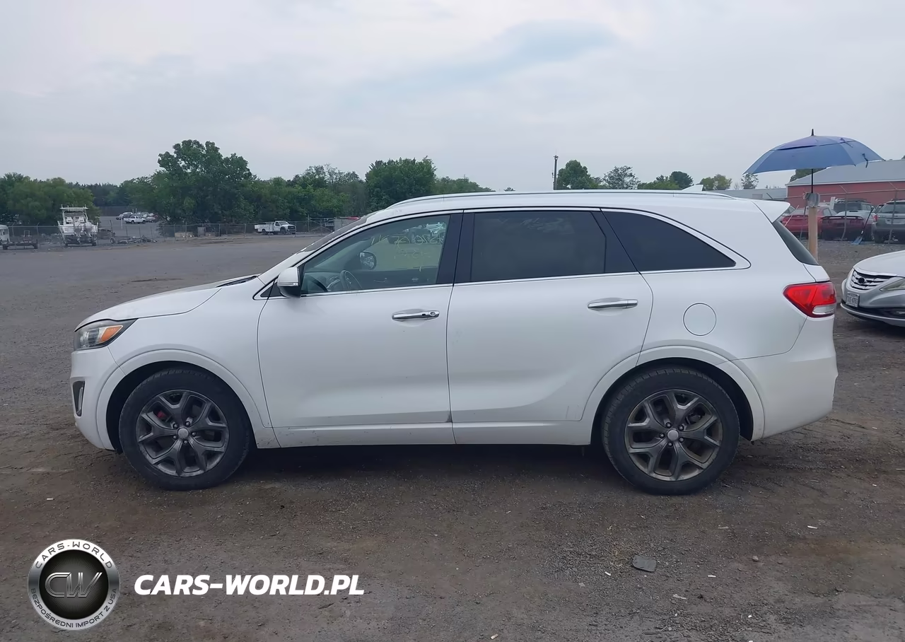 2016 Kia Sorento 3.3L Sx VIN:5XYPK4A54GG047966 - 14
