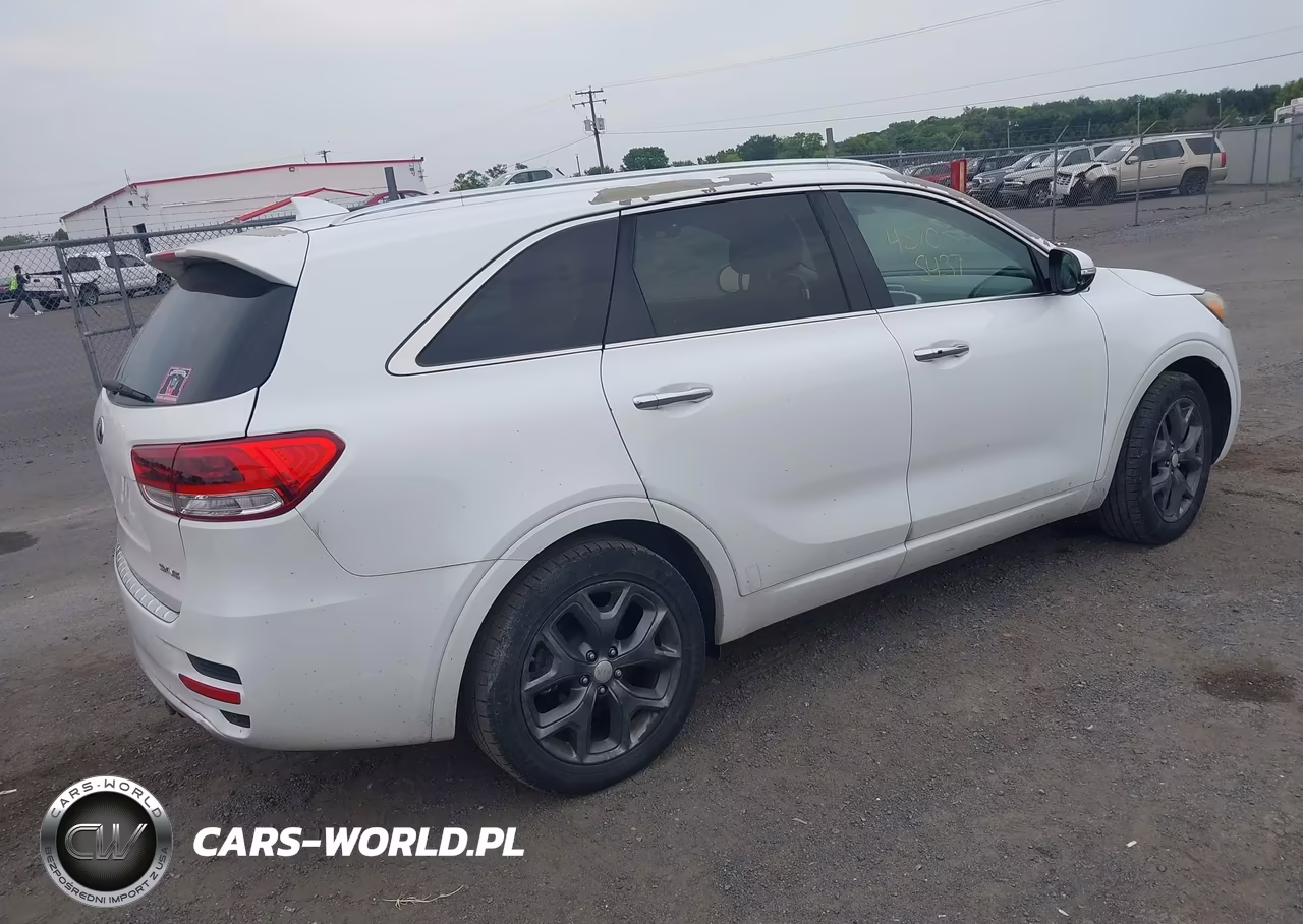 2016 Kia Sorento 3.3L Sx VIN:5XYPK4A54GG047966 - 4